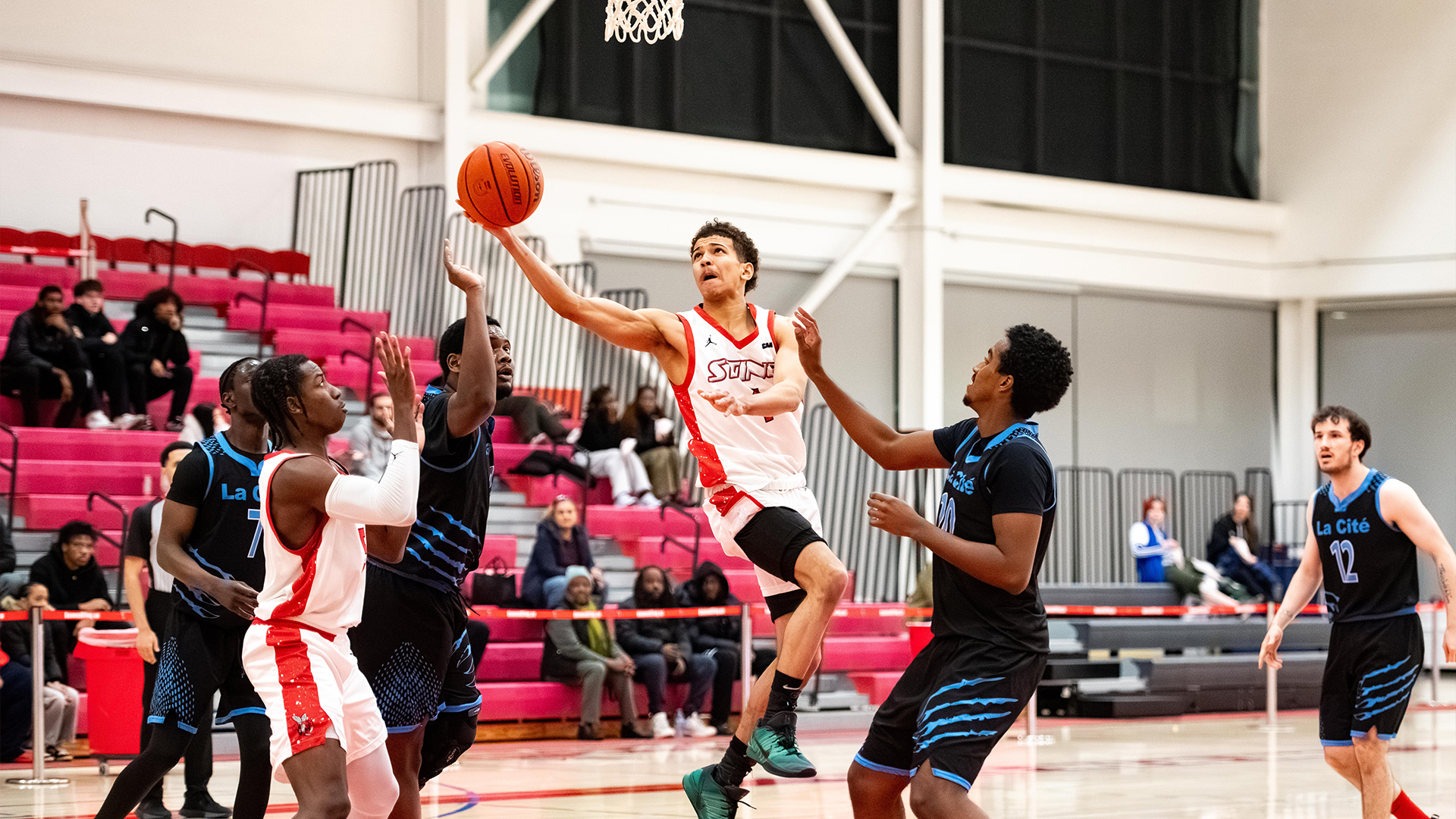 Sting Roll Coyotes for Tenth Win
