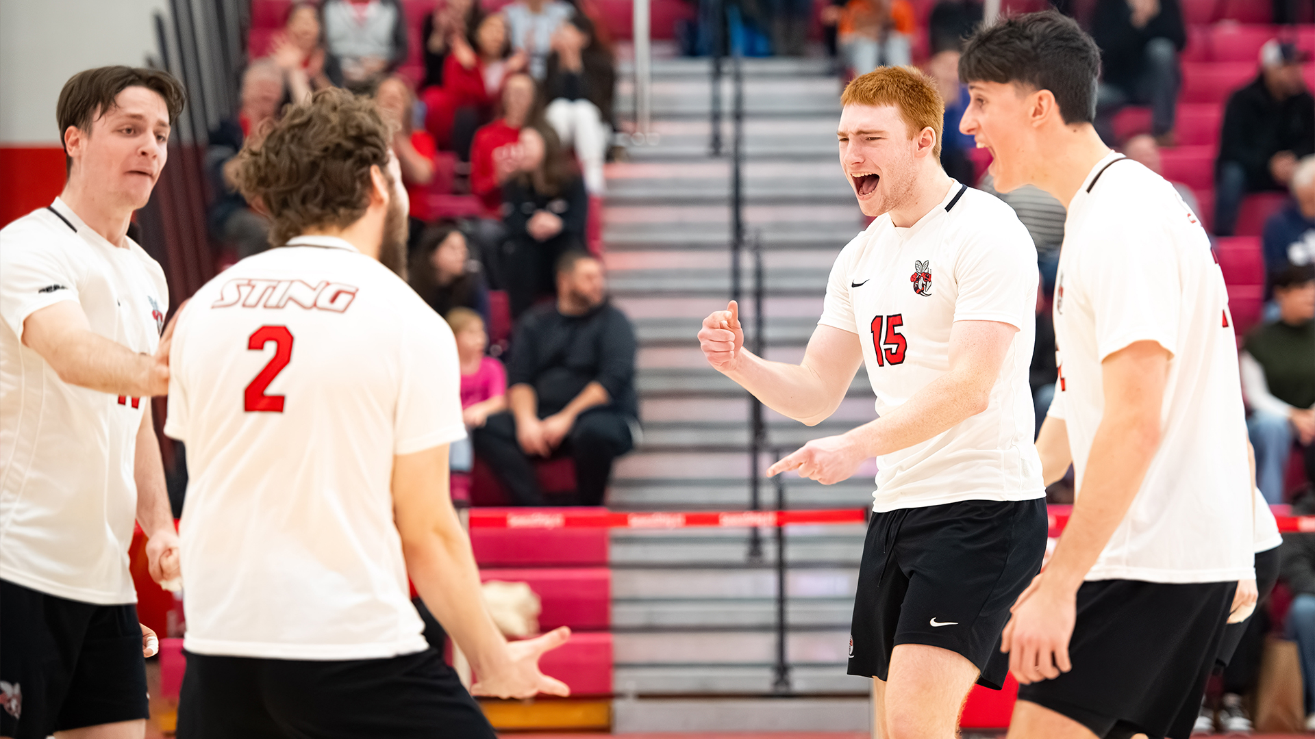 Sting Sweep Knights to Advance