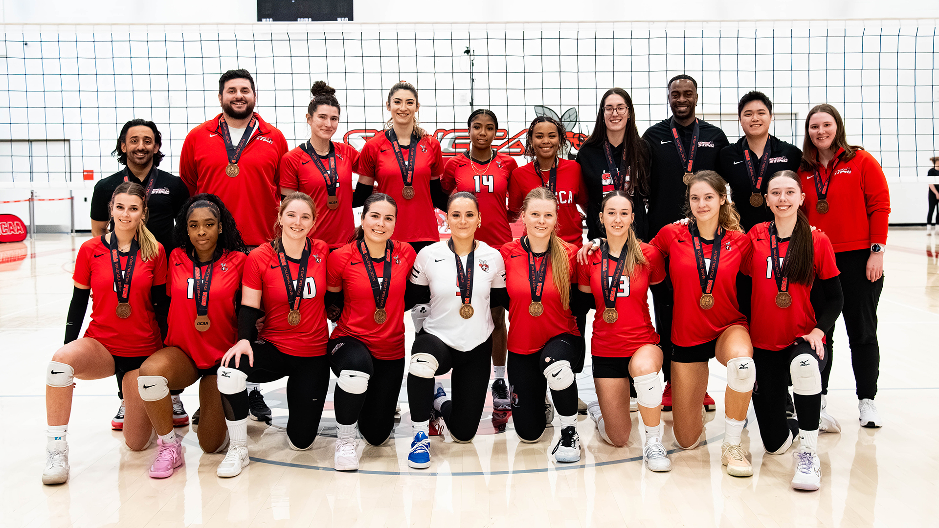 Sting Capture Bronze with Sweep Over Lords