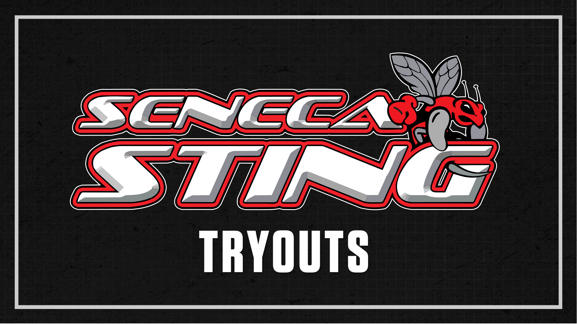 2026-27 Seneca Sting Tryouts
